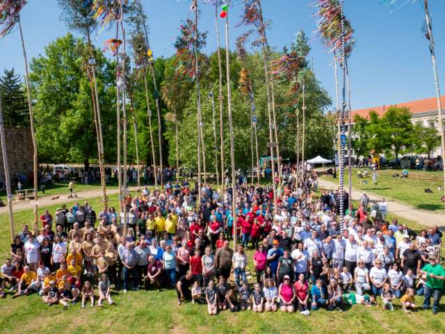 25 májusfa magasodik a jubileumi évben a sárvári várparkban