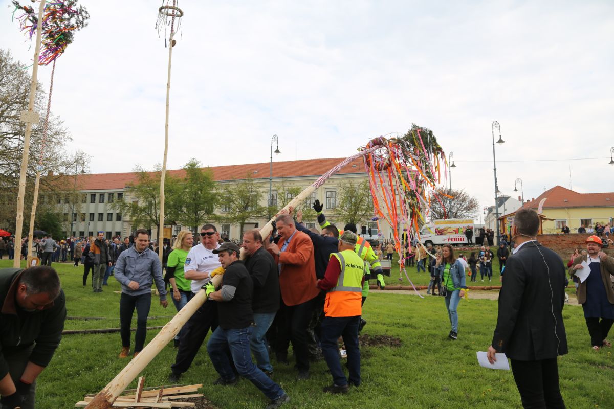 A májusfaállítás újra összehozta a sárvári közösségeket