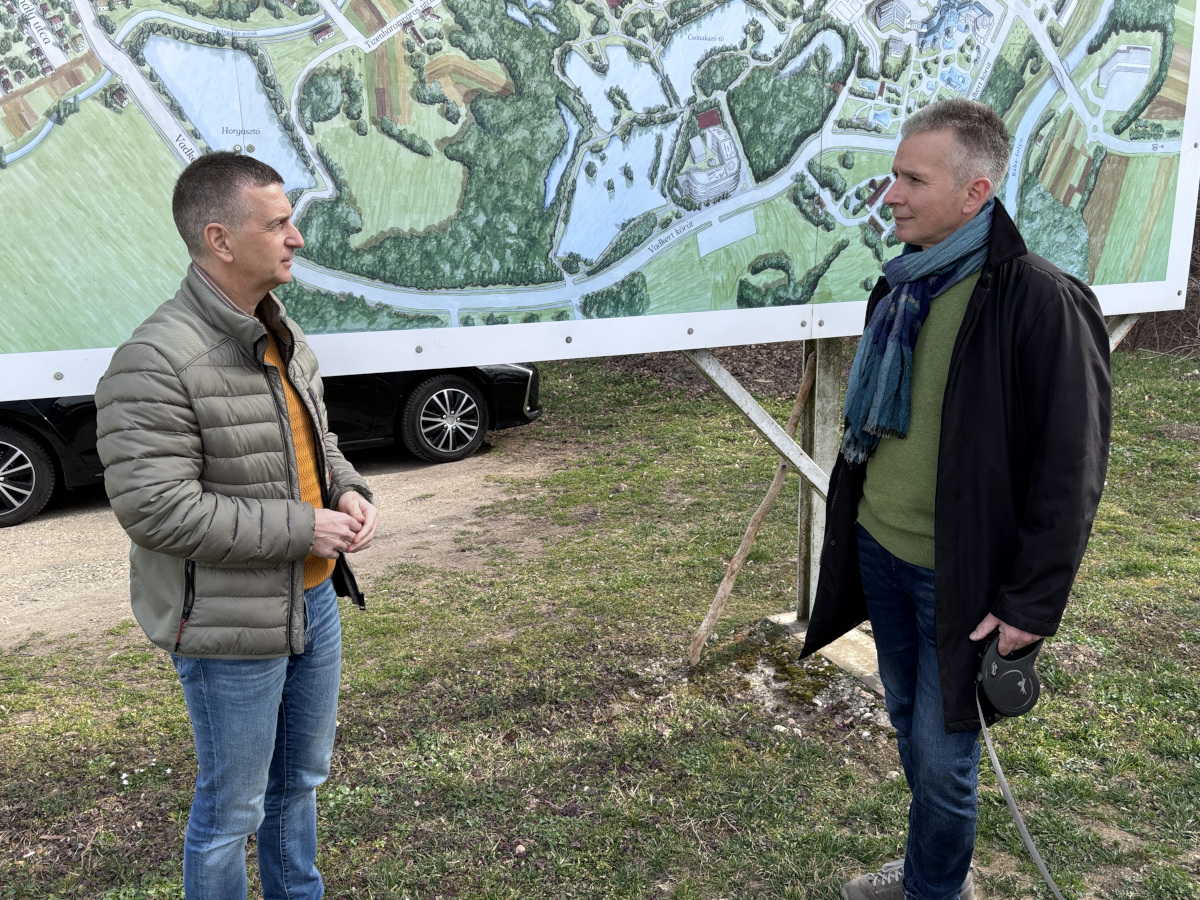 Városerdő segíti a klímavédelmet