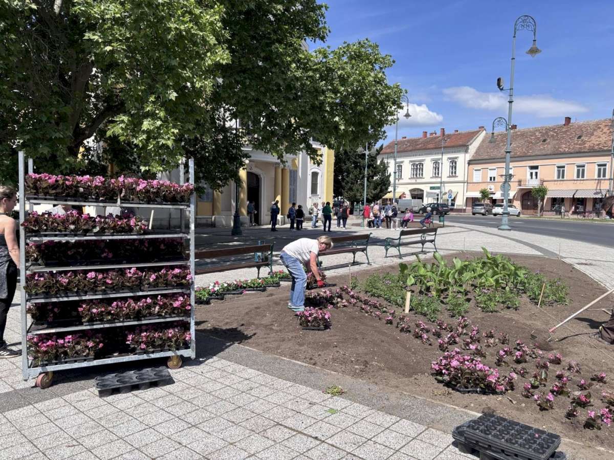 A Kossuth téren kezdődött a tavaszi virágosítás