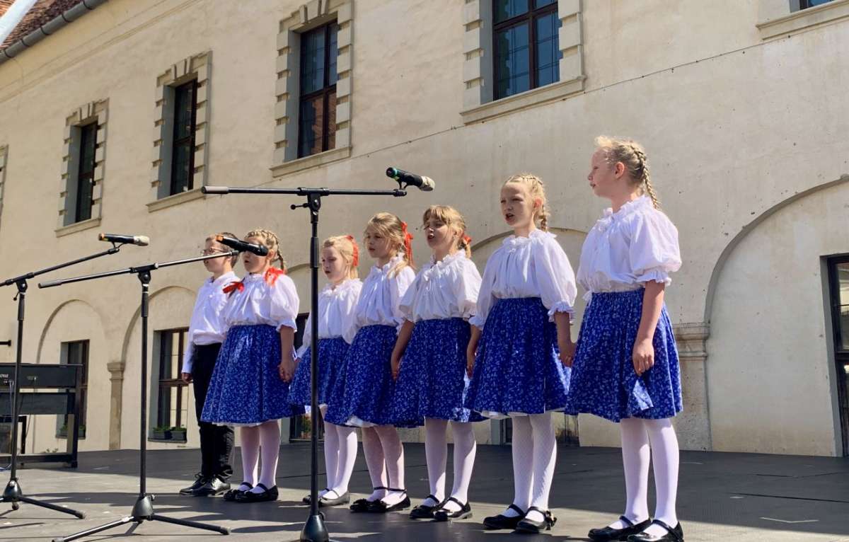 34 tehetség mutatkozott be a Sárvári Kulturális Seregszemle gálaműsorán