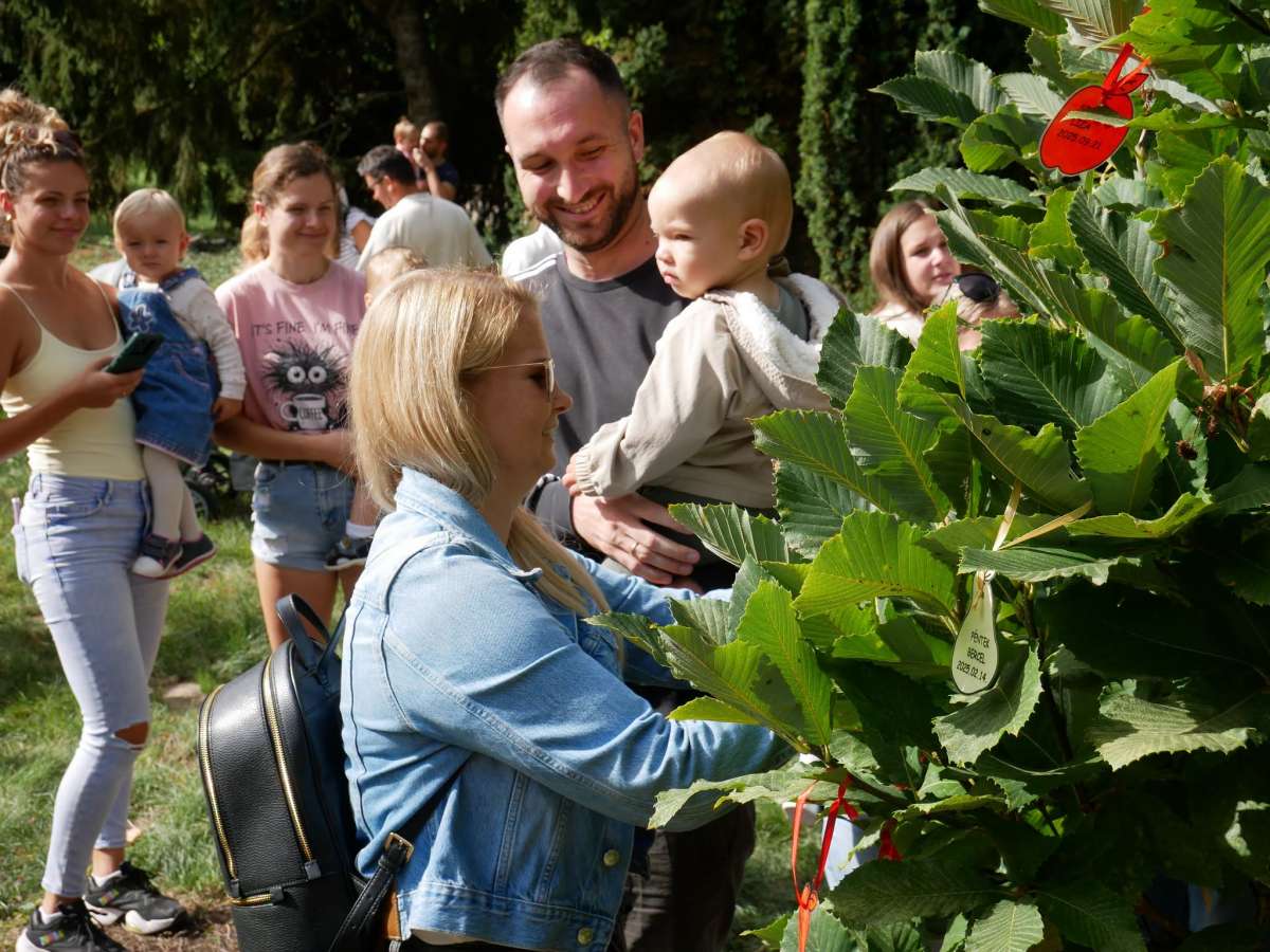 Születés fája - A 2025-ben született gyermekeket ünnepelték